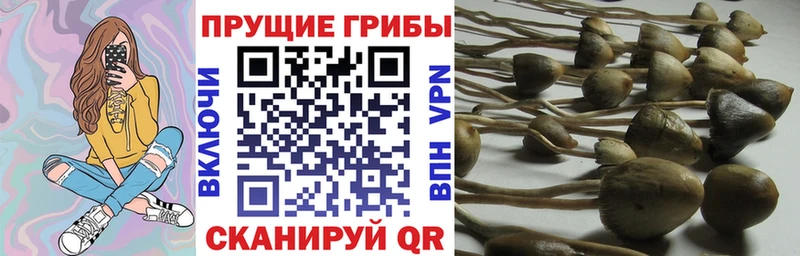 Галлюциногенные грибы мухоморы  blacksprut   Чаплыгин 